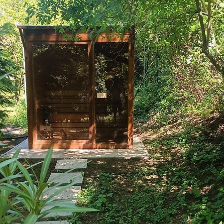 Fuege Vendeghaz Sajkod Villa Tihany Dış mekan fotoğraf
